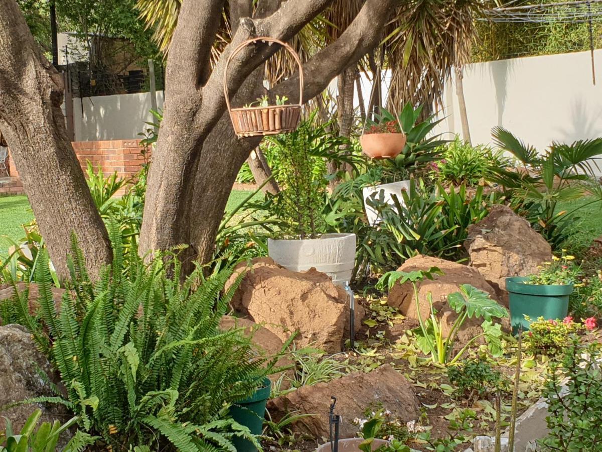Elephant Bush Guest Cottage Alberton Exterior foto